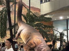 -湖南省地质博物馆