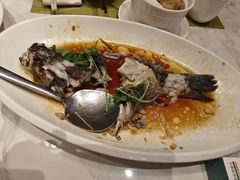 -顺意·顺德家乡菜(国际人才大厦店)