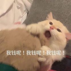 点击看大图 -JC·YOGA静禅瑜伽普拉提