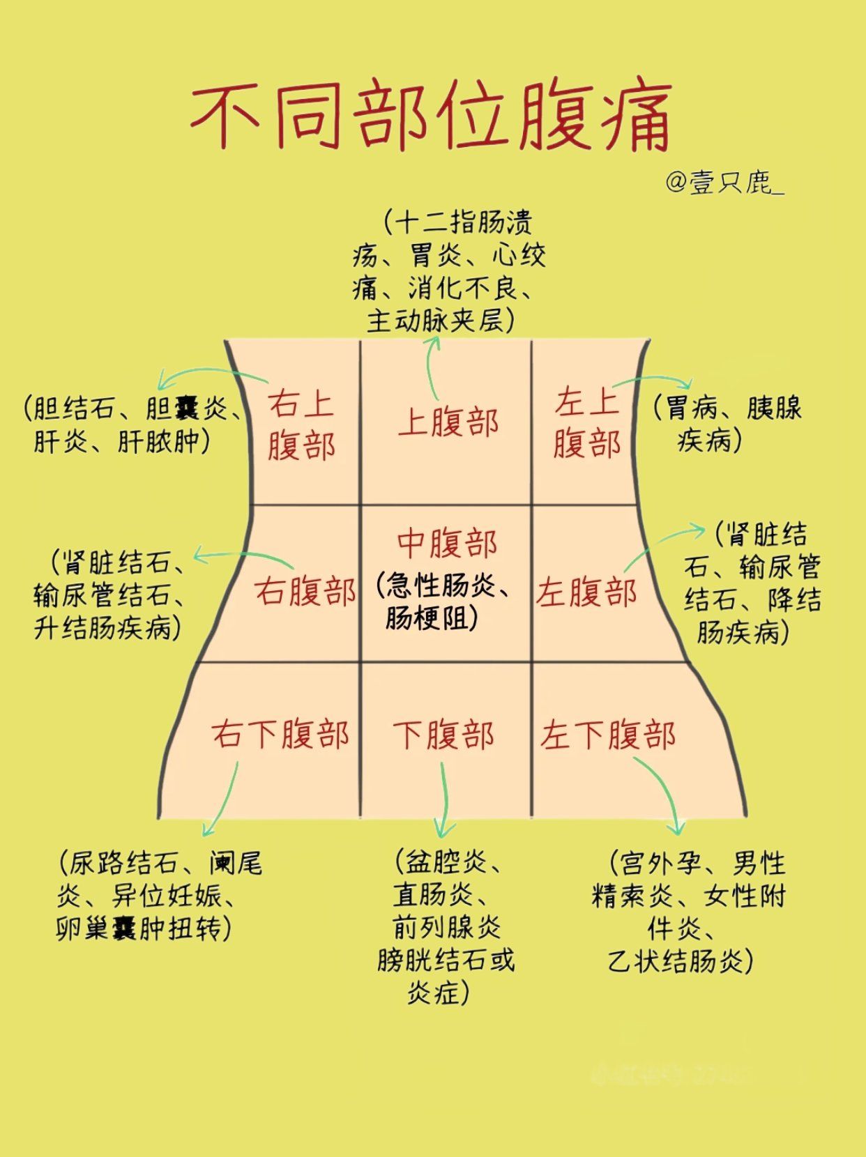 为什么肚子会叫 为什么肚子会叫