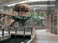 -南宫五洲植物乐园