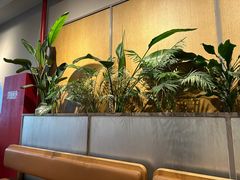 -Wagas沃歌斯(汇智店)