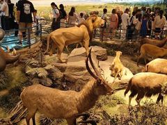 -陕西自然博物馆