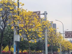 -广西规划馆