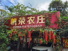 -帆荣农庄