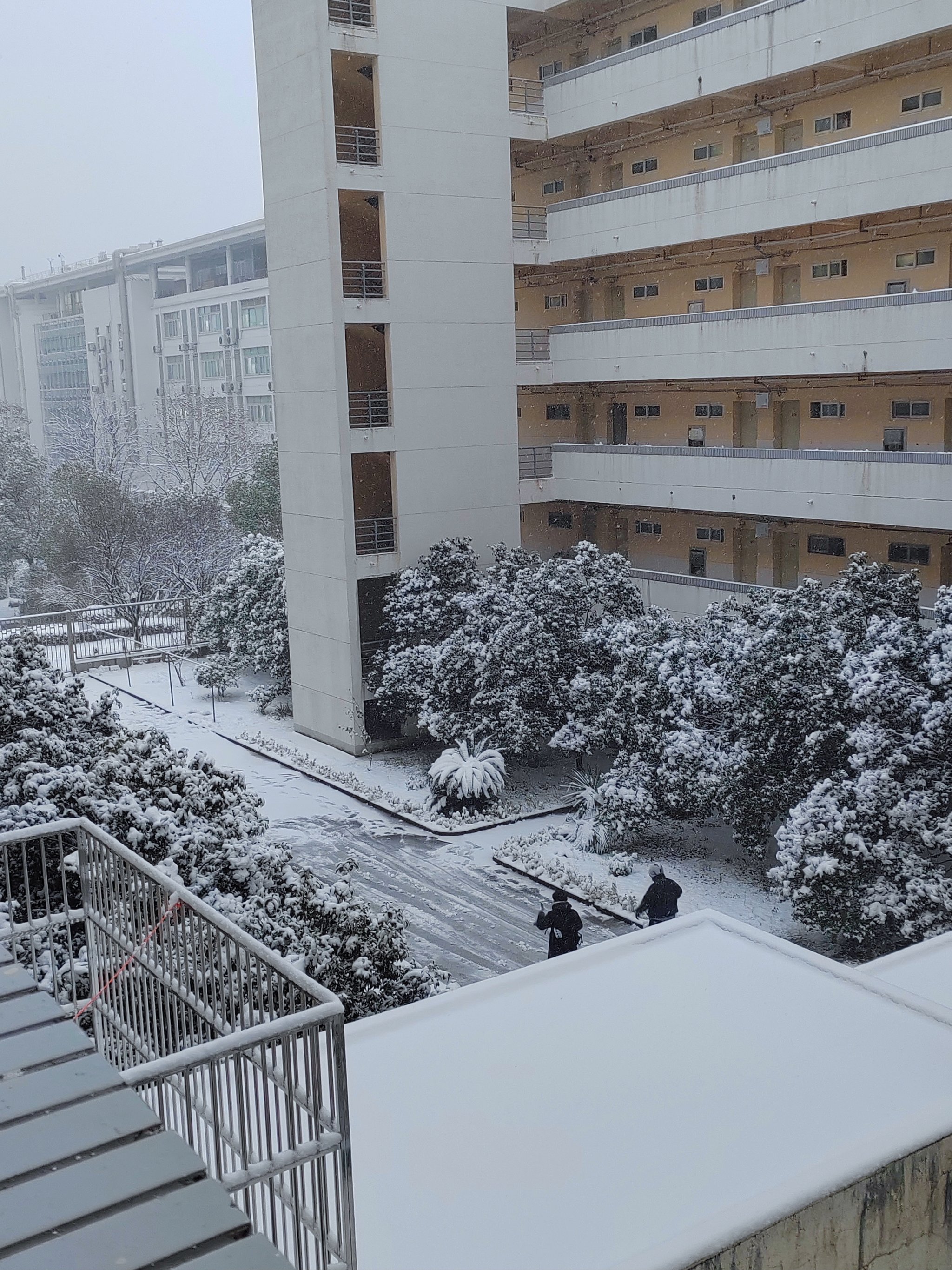 南京师范大学照片风景图片