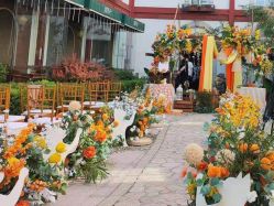 点击看大图 -Sunny喜铺婚礼策划(东部店)