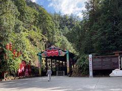 -九鲤湖风景区