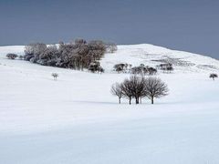 -塞罕坝国家级自然保护区