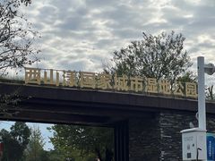 -西山漾湿地公园