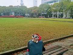 -上海电机学院(闵行校区)