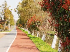 -前小桔亲子创意农场·草莓采摘·露营烧烤