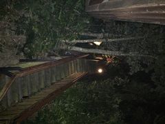 iphone_upload_pic-三亚亚龙湾人间天堂鸟巢度假村