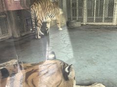 -无锡动物园·太湖欢乐园