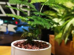 -彼芝奇比萨(红坊店)