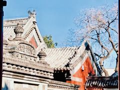 -北京艺术博物馆(万寿寺)