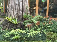 -Chom Cafe and Restaurant