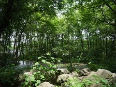-西溪南古村落景区