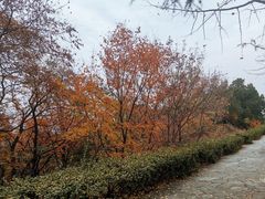 -北京鹫峰国家森林公园