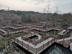 -五缘湾湿地公园