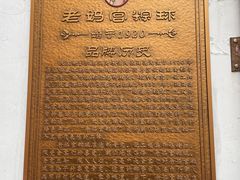 -老妈宫粽球