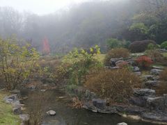 -陶祖圣境风景区