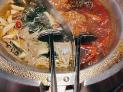-辣伍鲜毛肚老火锅(元一店)