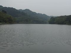 -林记三江兔火锅(沿山路自建小区店)