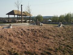 -鄂尔多斯野生动物园