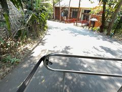 -西双版纳原始森林公园