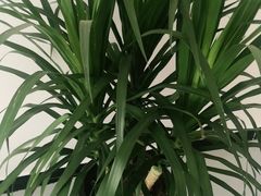 -遇见小院—虹鳟鱼•农家菜(怀柔店)