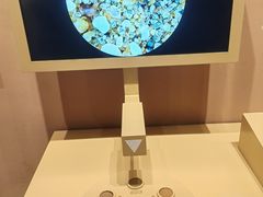 -恩格贝生态旅游区