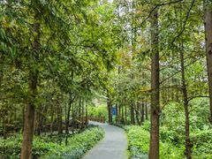 -桤木河湿地公园