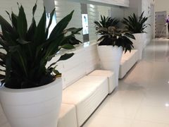 iphone_upload_pic-远洋未来广场(育慧北路店)