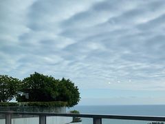 -瑰丽酒店·海吧·天际下午茶·现场DJ·天台酒吧
