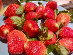 -汉阳廷自助烤肉·火锅(佳兆业广场店)