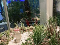 -春树下·树屋花房西餐厅(罍街AS1980店)