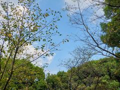 -范蠡湖公园