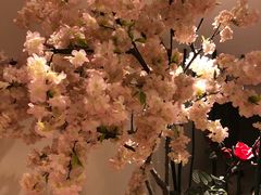 -善水温泉·汗蒸·SPA·生活会馆(桑田路店)