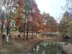 -江南大学(蠡湖校区)