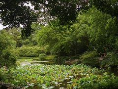 -杭州植物园