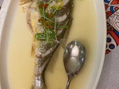 鲈鱼-浙江食府(浙江驻京办店)