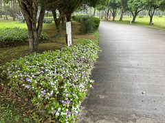 -Club Med地中海俱乐部·桂林度假村