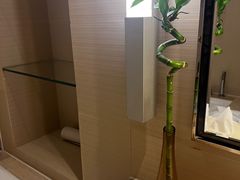 -南阳建业森林半岛假日酒店