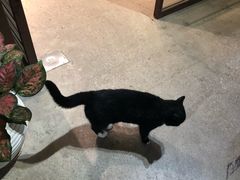 -观澜湖手艺工场·陶艺·吹玻璃·拼豆