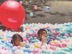 -芦仙山景区-飞越丛林探险乐园