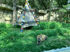 -北京野生动物园