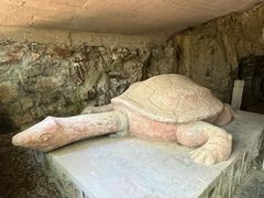 -上海佘山国家森林公园天马山园