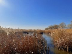 -野鸭湖国家湿地公园