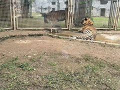 -御轩足道·SPA·养生·保健(瑞金北路店)